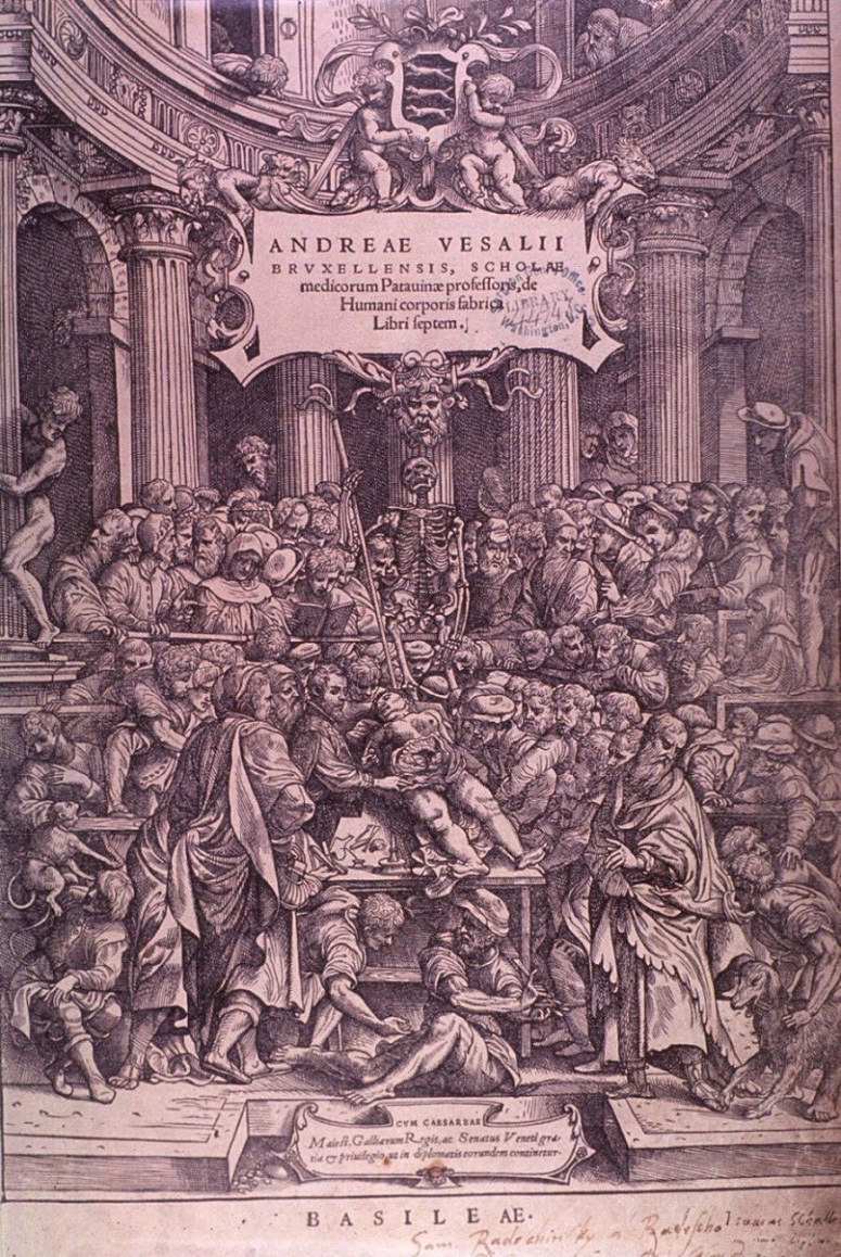 Vesalius performing dissection; Title page of book showing the dissection of a female criminal.