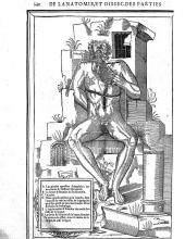 From De dissectione partium corporis humani libri tres; Image of seated man holding open his dissected throat, showing internal anatomy.